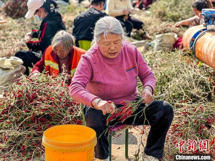 彩神vlll在線登錄