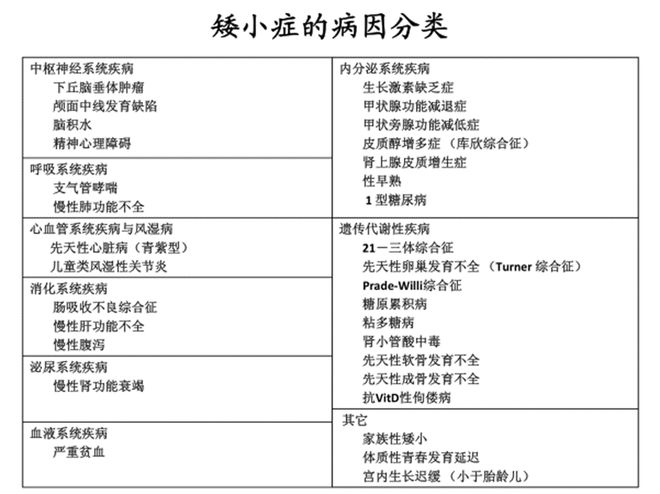 網(wǎng)盟彩票用戶登錄官網(wǎng)