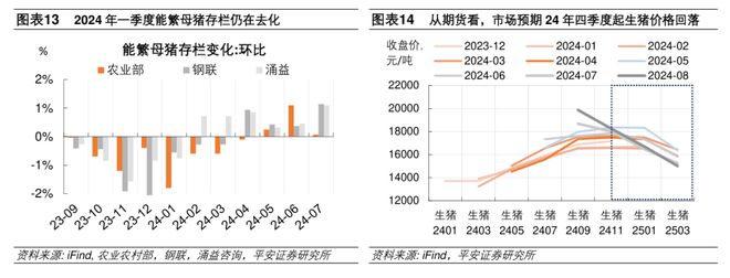 神彩爭霸8平臺