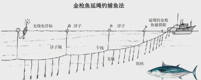 網(wǎng)信彩票登陸