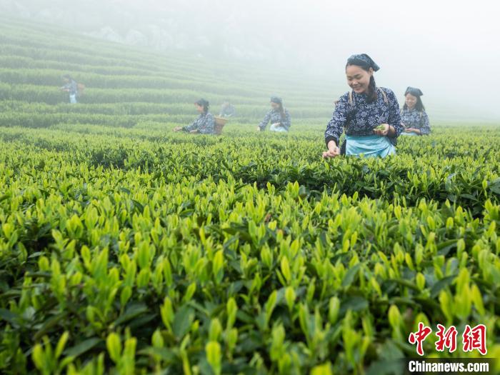 天天中彩票welcome 官網(wǎng)