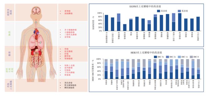 彩神vl登錄