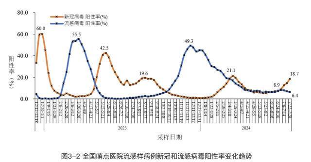 55世紀登錄