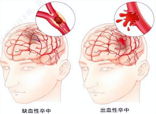 網(wǎng)信彩票平臺登錄